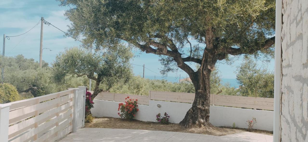 Villa Zante Avia Plános المظهر الخارجي الصورة
